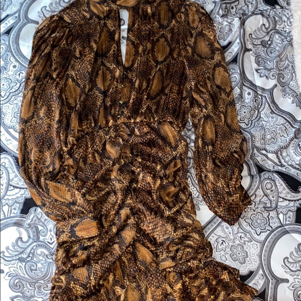 Snakeskin Zara Dress